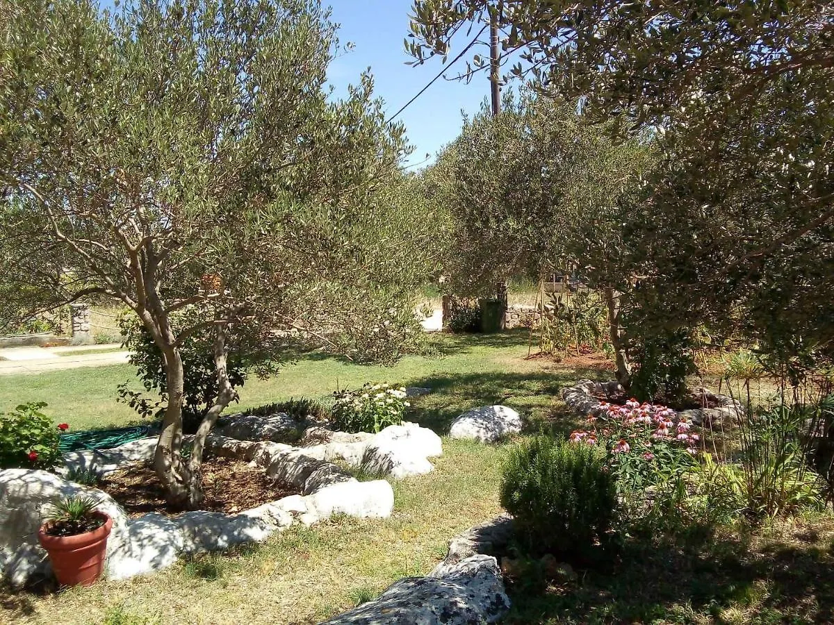 Apartment In Tkon/Insel Pasman 7879 Croacia